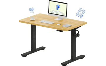 FLEXISPOT EN1 Electric Standing Desk