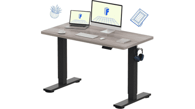 FLEXISPOT EN1 Electric Standing Desk