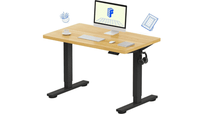 FLEXISPOT EN1 Electric Standing Desk