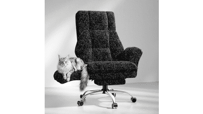 HOMRELEXA Big & Tall Office Chair