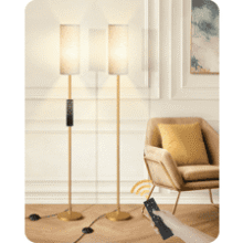 Set of 2 Dimmable Floor Lamps with Remote