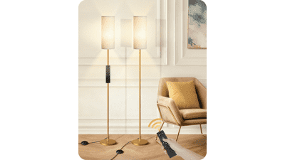 Set of 2 Dimmable Floor Lamps with Remote