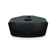 Bluesound Pulse 2i Wireless Smart Speaker