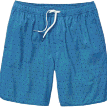 Fair Harbor Anchor Swim Trunks