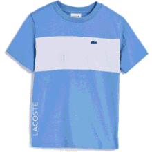 Lacoste Boys Color-Blocked T-Shirt (Big Kid)