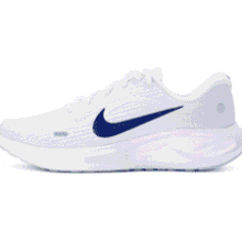 Nike Women's Winflo 12 Road Running Shoes