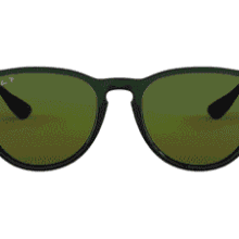 Ray-Ban Erika Round Sunglasses RB4171