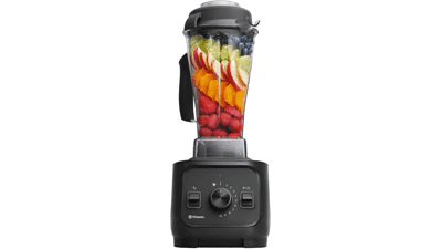 Vitamix VX1 Professional Blender