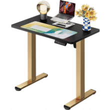 ErGear Electric Standing Desk