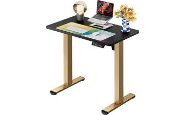 ErGear Electric Standing Desk