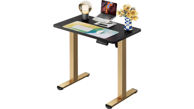 ErGear Electric Standing Desk