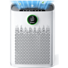 HAP603 HEPA Air Purifier for Large Rooms