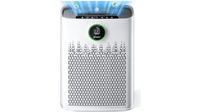 HAP603 HEPA Air Purifier for Large Rooms