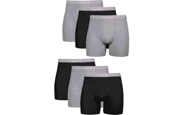Hanes Men's Boxer Briefs Pack