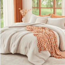 Queen Size Beige Comforter Set (3-Piece)