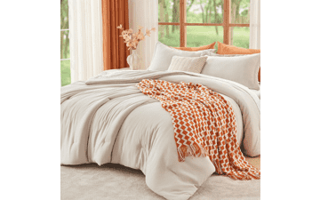 Queen Size Beige Comforter Set (3-Piece)
