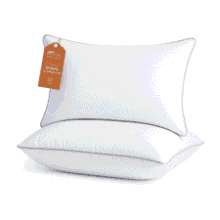 Sasttie Queen Size Firm Pillows Set of 2 – Hotel Quality, Oeko‑Tex Certified, Machine Washable