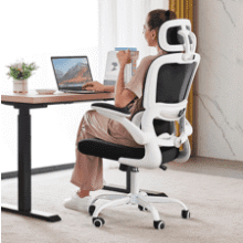 TRALT Ergonomic Gaming Office Chair with Lumbar Support
