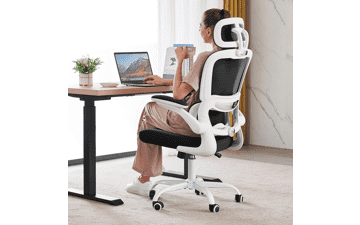 TRALT Ergonomic Gaming Office Chair with Lumbar Support