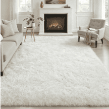 4x6 Fluffy Plush Shag Area Rug