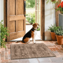 Boho Taupe Brown 2x3 Entryway Rug