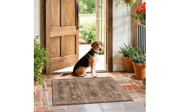 Boho Taupe Brown 2x3 Entryway Rug