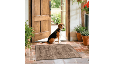 Boho Taupe Brown 2x3 Entryway Rug