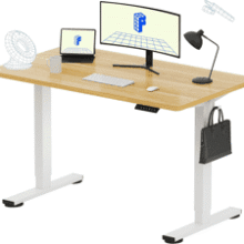FLEXISPOT EN1 Electric Standing Desk