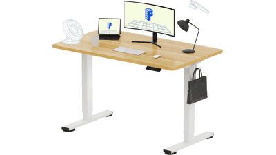 FLEXISPOT EN1 Electric Standing Desk