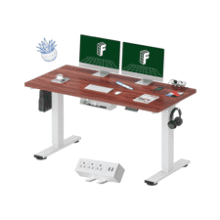 FLEXISPOT EN2 Standing Desk 55 inch
