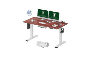 FLEXISPOT EN2 Standing Desk 55 inch