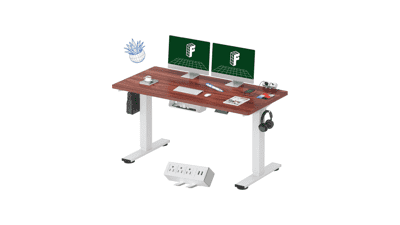 FLEXISPOT EN2 Standing Desk 55 inch