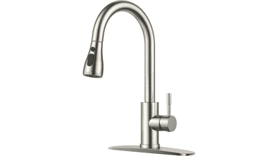 FORIOUS Pull Down Kitchen Faucet
