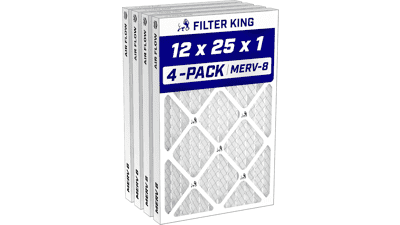 Filter King 12x25x1 Air Filter MERV 8