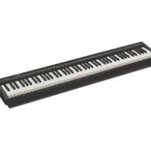 Roland FP-10 88-Note Digital Piano