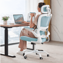 TRALT Ergonomic Office Chair