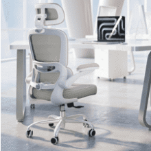 TRALT Ergonomic Office Chair