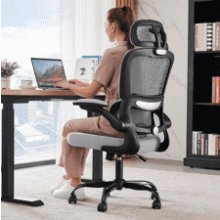 TRALT Ergonomic Office Chair with Lumbar Support