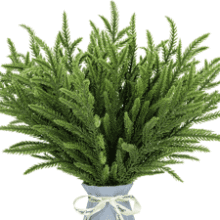 24Pcs Norfolk Pine Branches Stems
