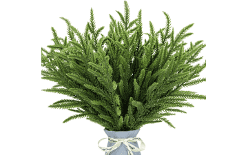 24Pcs Norfolk Pine Branches Stems