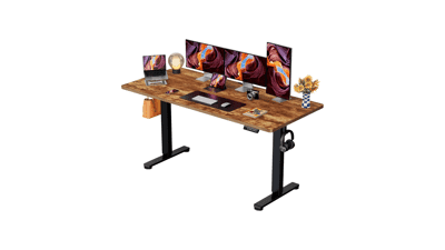 ErGear Height Adjustable Electric Standing Desk