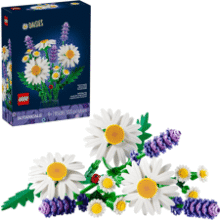 LEGO Botanicals Daisies 11508