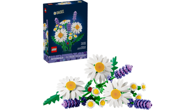 LEGO Botanicals Daisies 11508