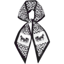 Long Silk Satin Hair Scarf for Women