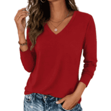 Zeagoo Women's V Neck Long Sleeve Tee